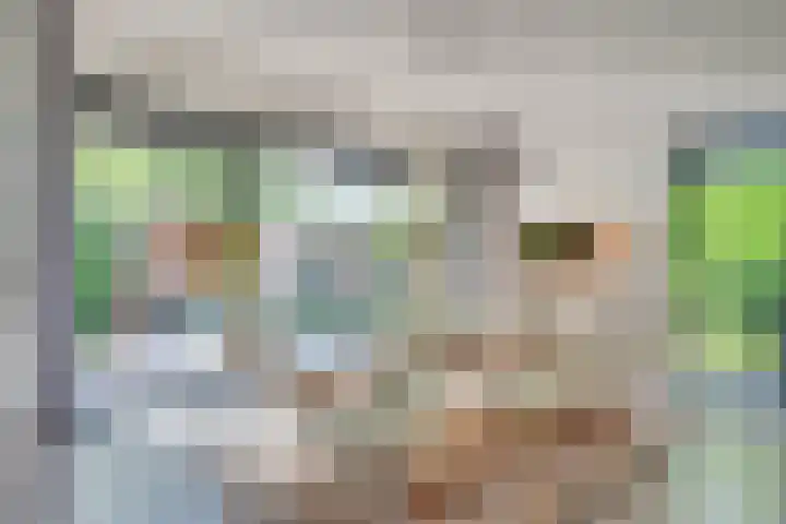 Vinklaan 3 Son en Breugel thumbnail 33