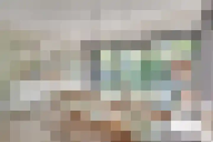 Vinklaan 3 Son en Breugel thumbnail 34