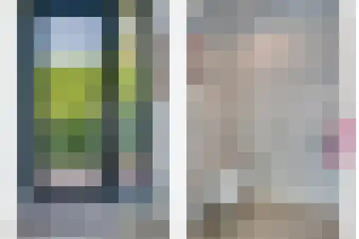 Vinklaan 3 Son en Breugel thumbnail 41