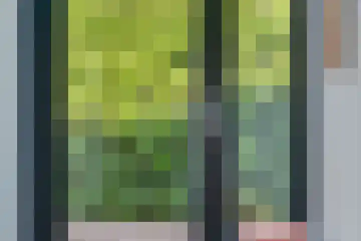 Vinklaan 3 Son en Breugel thumbnail 42