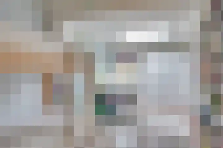 Vinklaan 3 Son en Breugel thumbnail 44