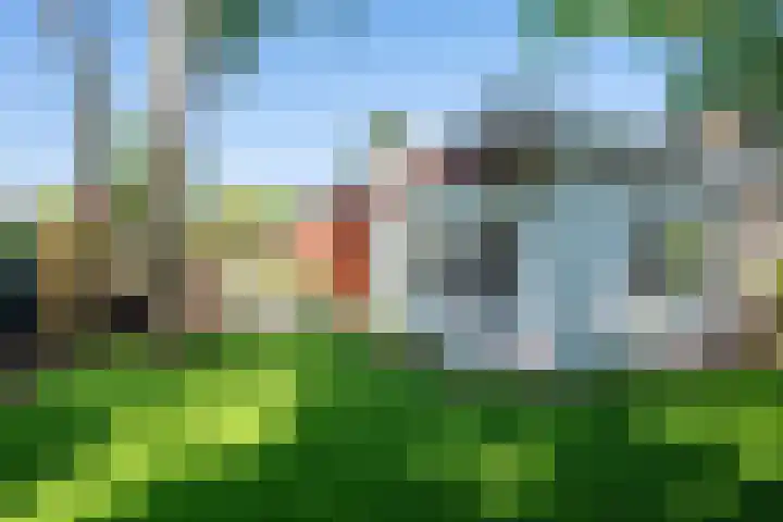 Vinklaan 3 Son en Breugel thumbnail 53