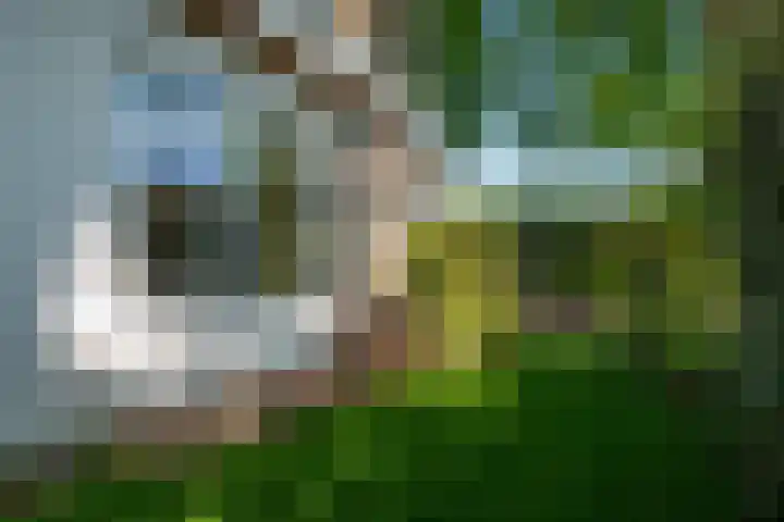 Vinklaan 3 Son en Breugel thumbnail 54