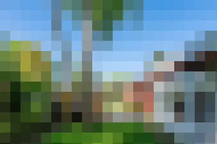 Vinklaan 3 Son en Breugel thumbnail 55
