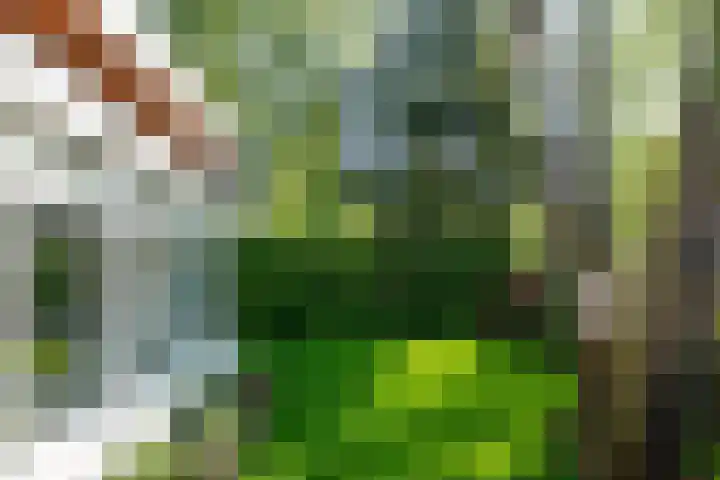 Vinklaan 3 Son en Breugel thumbnail 56