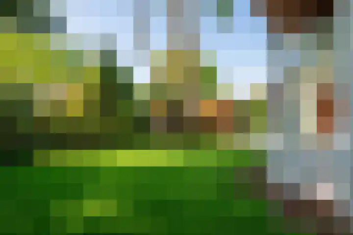 Vinklaan 3 Son en Breugel thumbnail 57