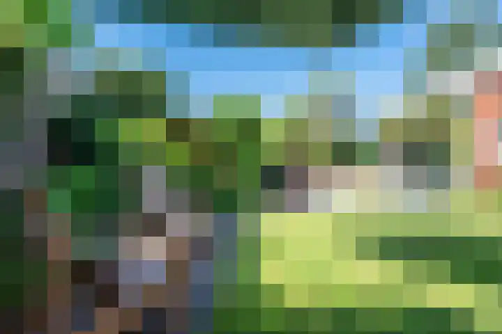 Vinklaan 3 Son en Breugel thumbnail 59