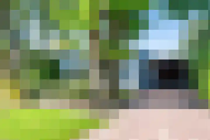 Vinklaan 3 Son en Breugel thumbnail 6