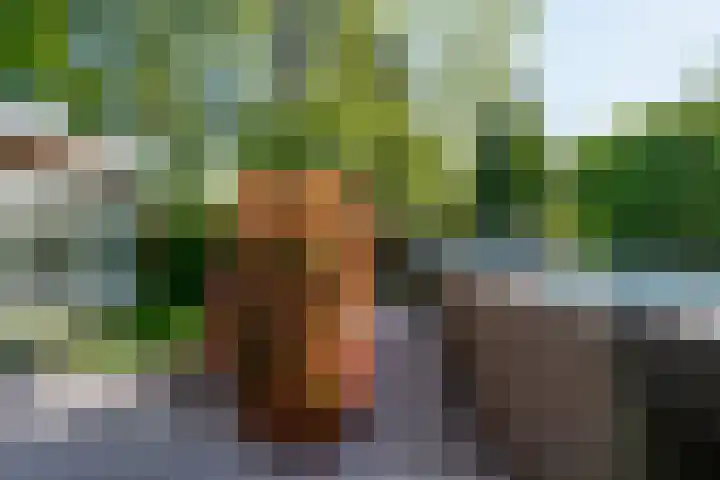 Vinklaan 3 Son en Breugel thumbnail 60