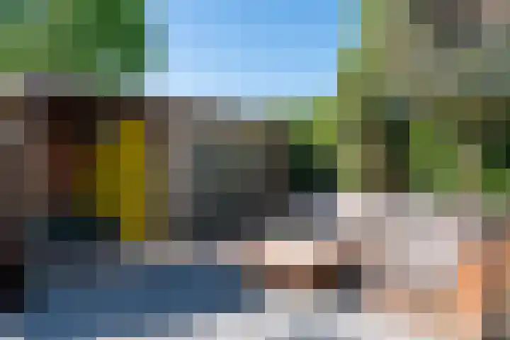 Vinklaan 3 Son en Breugel thumbnail 62