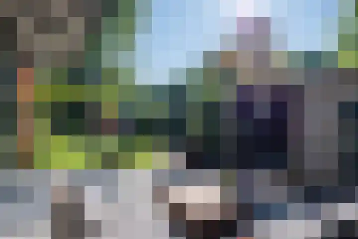 Vinklaan 3 Son en Breugel thumbnail 63