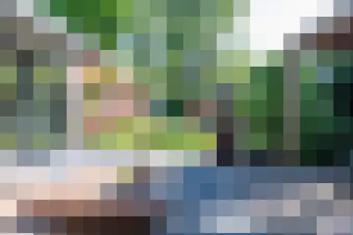 Vinklaan 3 Son en Breugel thumbnail 64