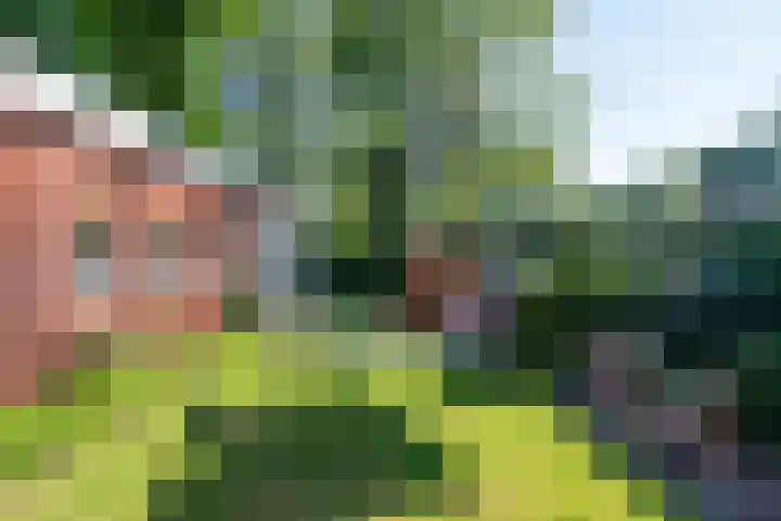 Vinklaan 3 Son en Breugel thumbnail 65