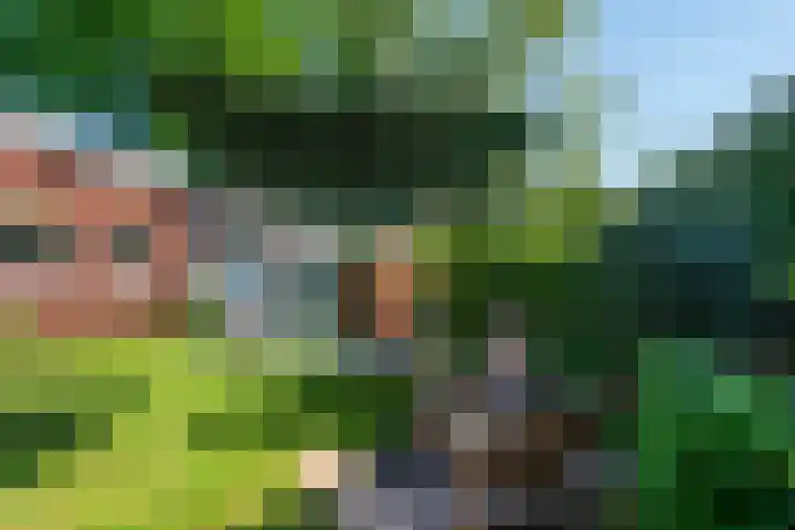 Vinklaan 3 Son en Breugel thumbnail 66
