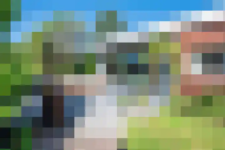 Vinklaan 3 Son en Breugel thumbnail 67