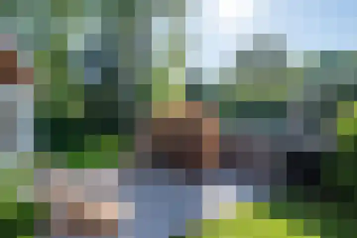 Vinklaan 3 Son en Breugel thumbnail 69