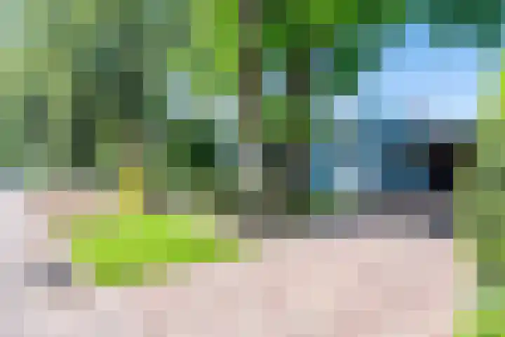 Vinklaan 3 Son en Breugel thumbnail 7