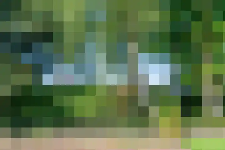 Vinklaan 3 Son en Breugel thumbnail 8