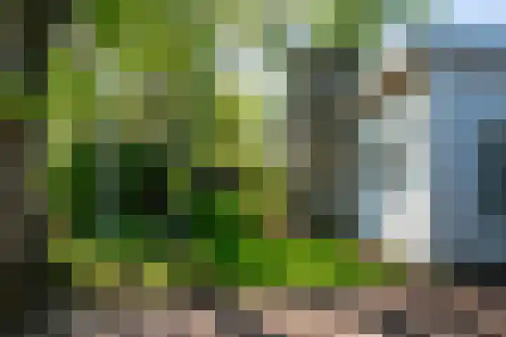 Vinklaan 3 Son en Breugel thumbnail 9
