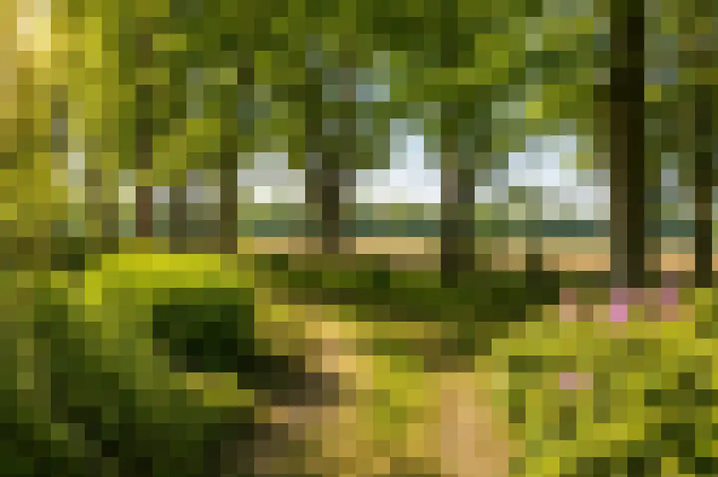 Vinklaan Riethoven foto 3