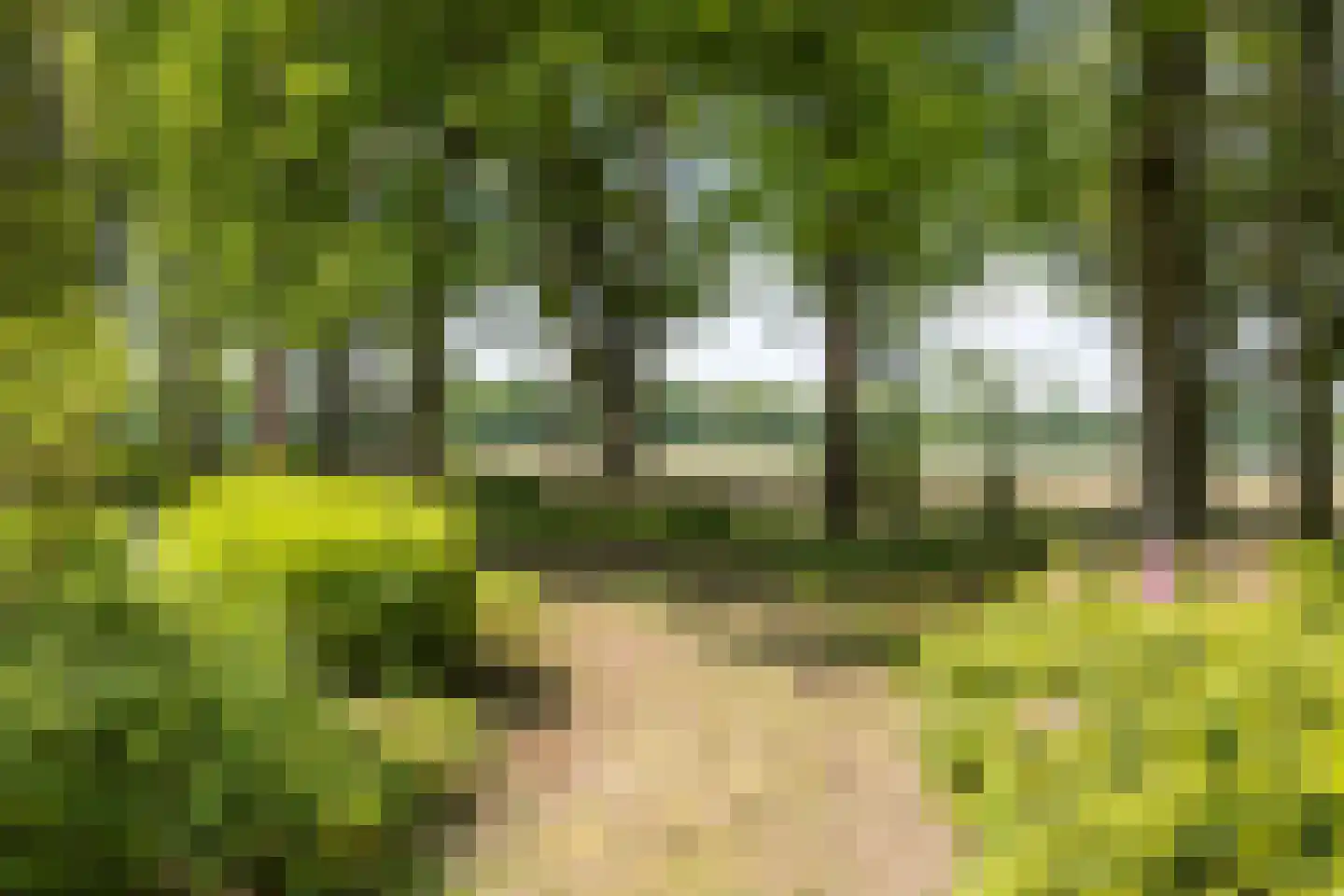 Vinklaan Riethoven thumbnail 4