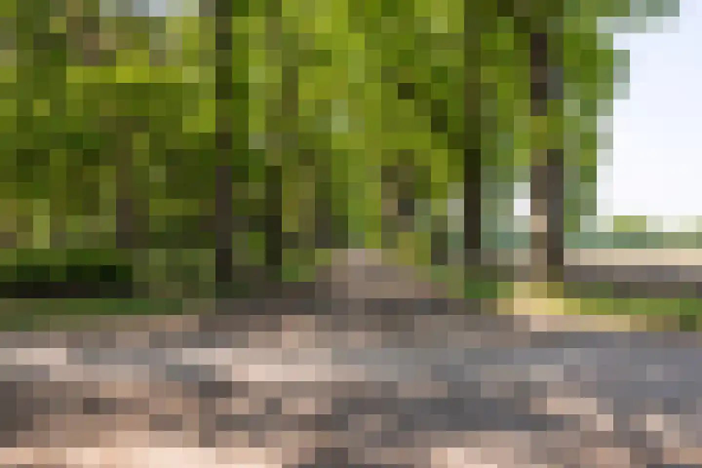 Vinklaan Riethoven thumbnail 5