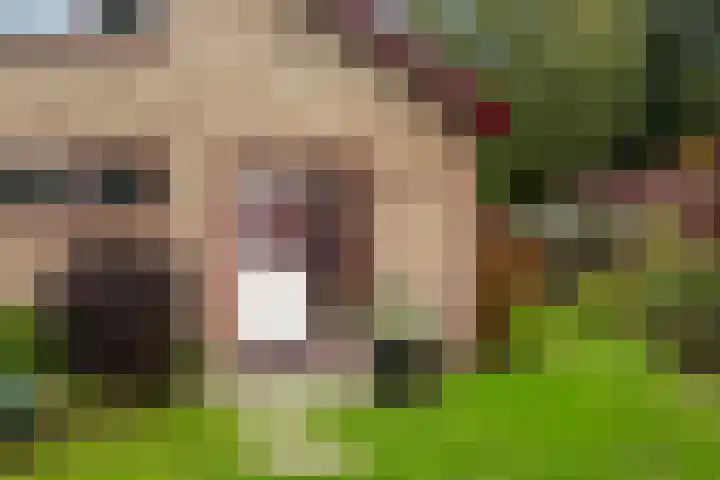 Vinkseweg 15 Rozenburg thumbnail 10