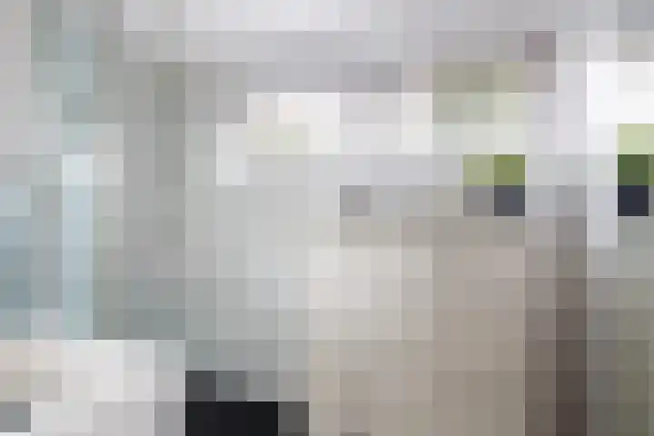Vinkseweg 15 Rozenburg thumbnail 14