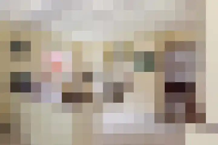 Vinkseweg 15 Rozenburg thumbnail 26