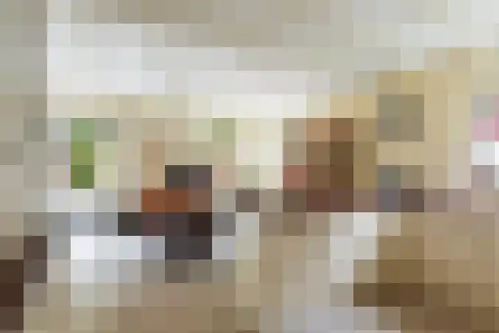 Vinkseweg 15 Rozenburg thumbnail 28