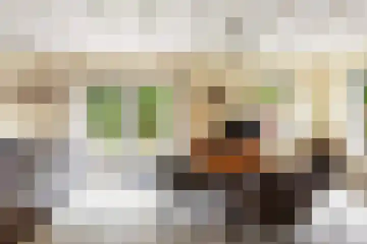 Vinkseweg 15 Rozenburg thumbnail 29