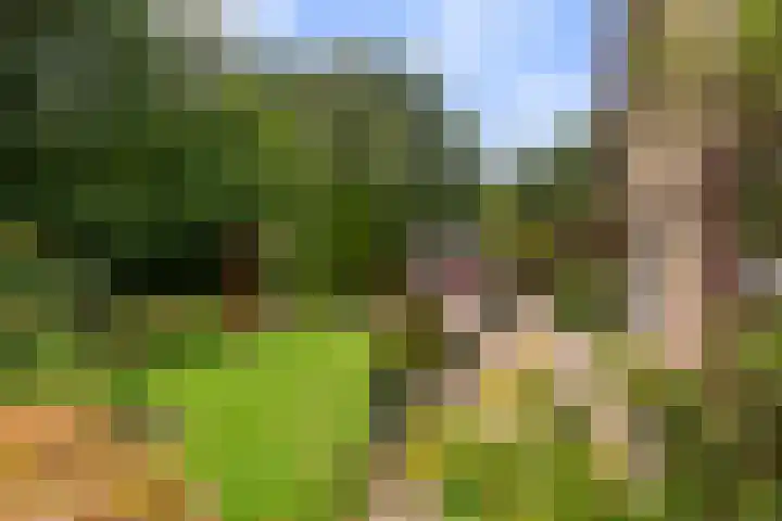 Vinkseweg 15 Rozenburg thumbnail 30