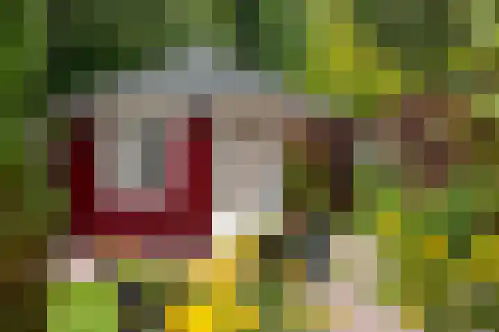 Vinkseweg 15 Rozenburg thumbnail 31