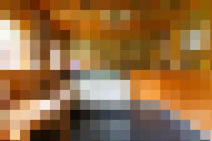 Vinkseweg 15 Rozenburg thumbnail 33