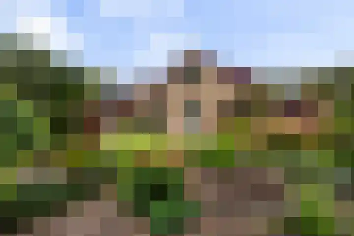 Vinkseweg 15 Rozenburg thumbnail 34