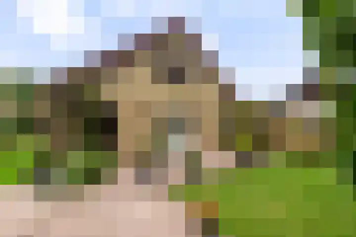 Vinkseweg 15 Rozenburg thumbnail 38