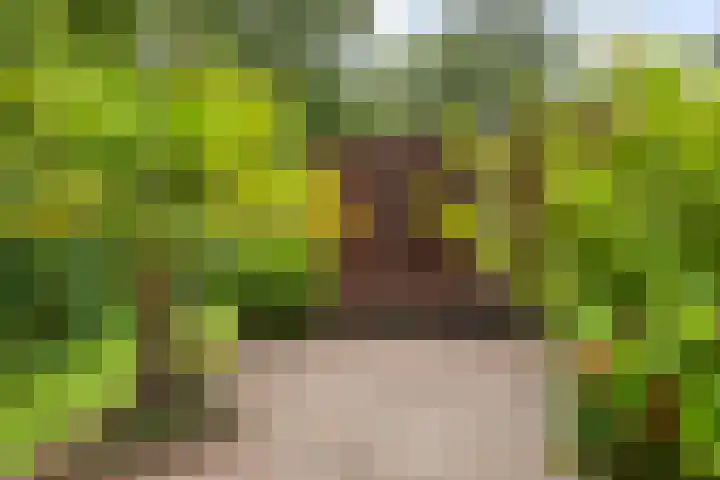 Vinkseweg 15 Rozenburg thumbnail 40