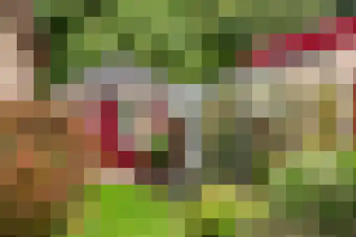 Vinkseweg 15 Rozenburg thumbnail 41