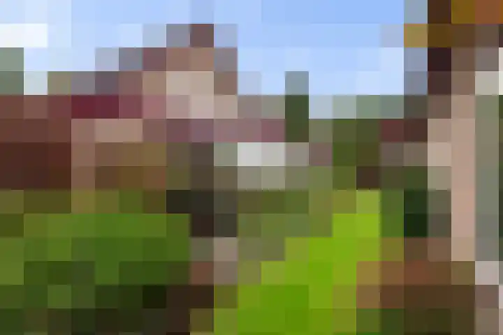 Vinkseweg 15 Rozenburg thumbnail 45