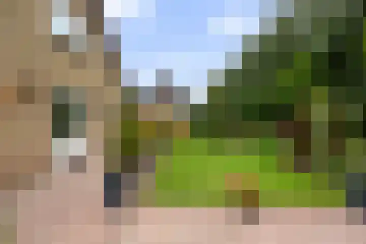 Vinkseweg 15 Rozenburg thumbnail 46