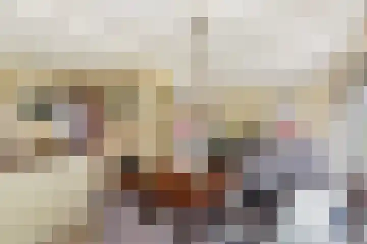 Vinkseweg 15 Rozenburg thumbnail 47