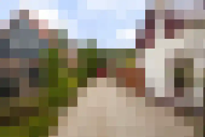 Vinkseweg 15 Rozenburg thumbnail 5