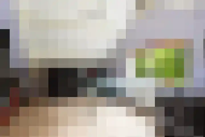 Vinkseweg 15 Rozenburg thumbnail 59