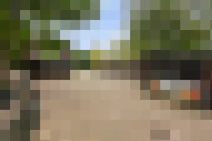 Vinkseweg 15 Rozenburg thumbnail 62