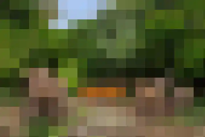 Vinkseweg 15 Rozenburg thumbnail 64