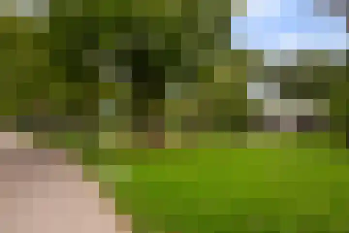 Vinkseweg 15 Rozenburg thumbnail 65