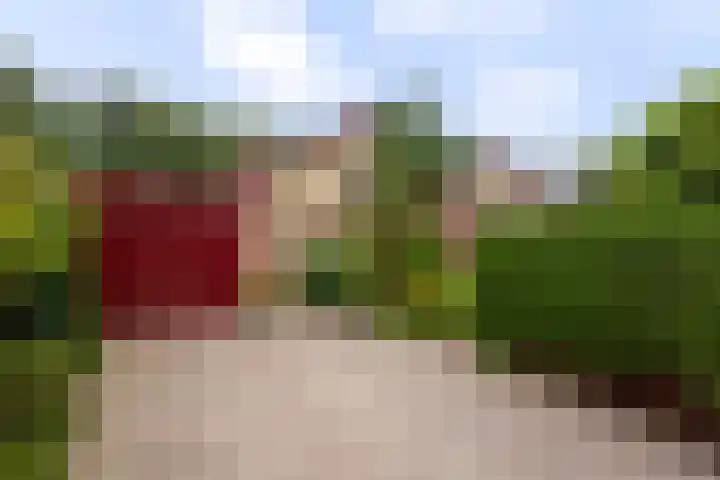 Vinkseweg 15 Rozenburg thumbnail 7