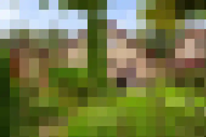 Vinkseweg 15 Rozenburg thumbnail 9