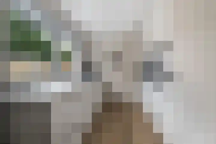 Vinkstraat 1 Goor thumbnail 10