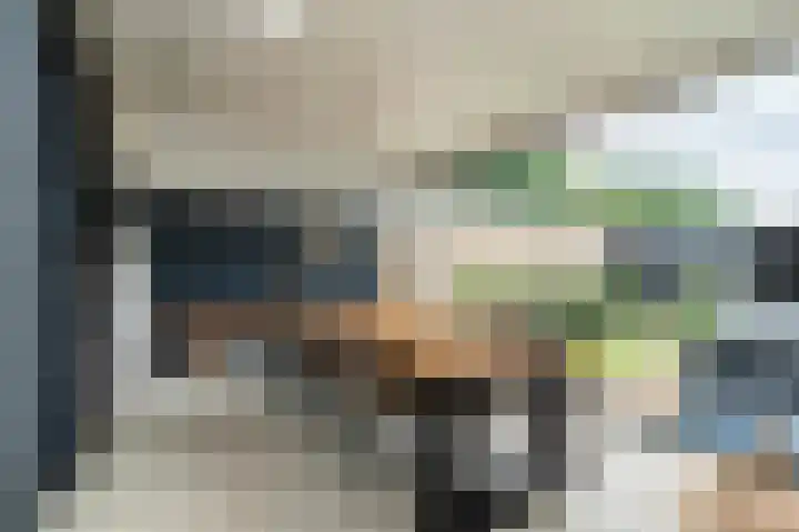 Vinkstraat 1 Goor thumbnail 11